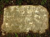 image of grave number 65462
